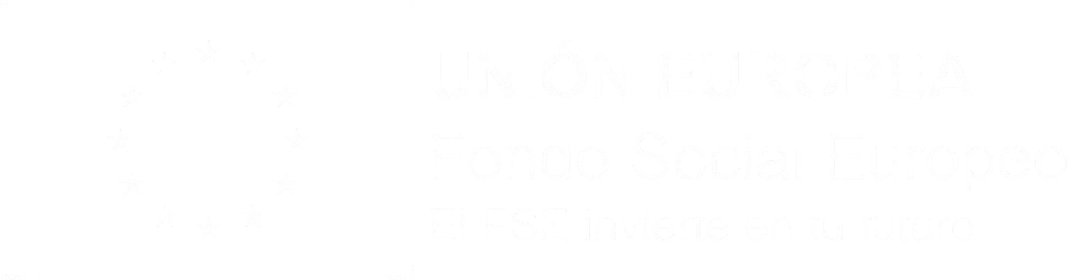 UE FSE