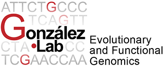 logo-sidebar