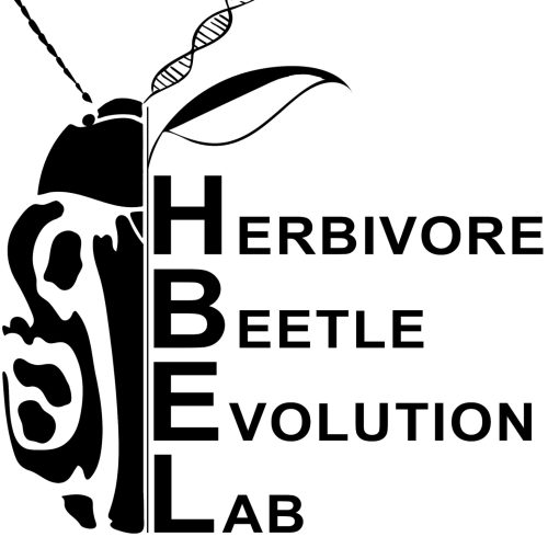 HEL