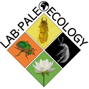 MI LOGO JPG